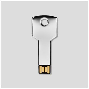 Key Stainless steel pen drive