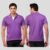 Scott T Shirt Polo Neck (Purple with white tip) - Image 1