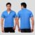 Scott T Shirt Polo Neck (Indian Blue with Black tip) - Image 1